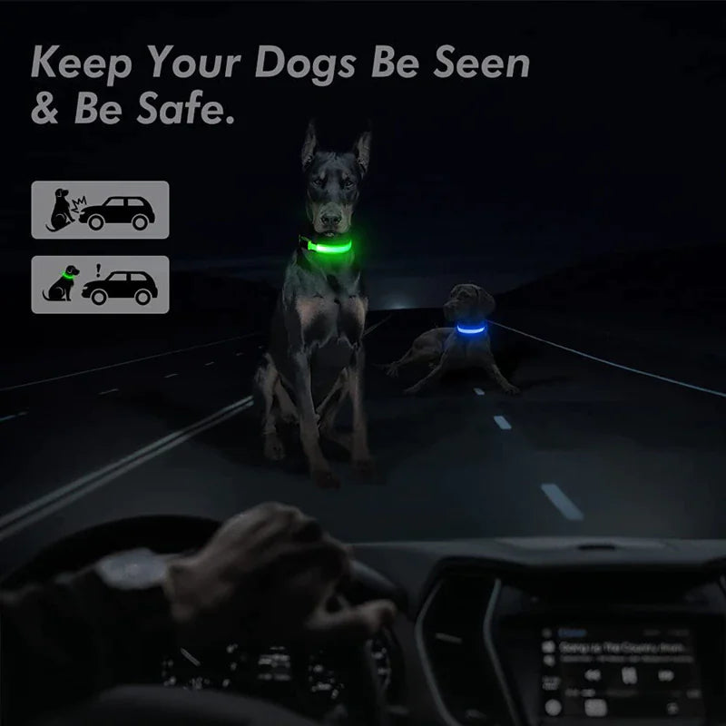 LED Adjustable Dog Collar Blinking Flashing Light Up Glow Pets Safety Waterproof